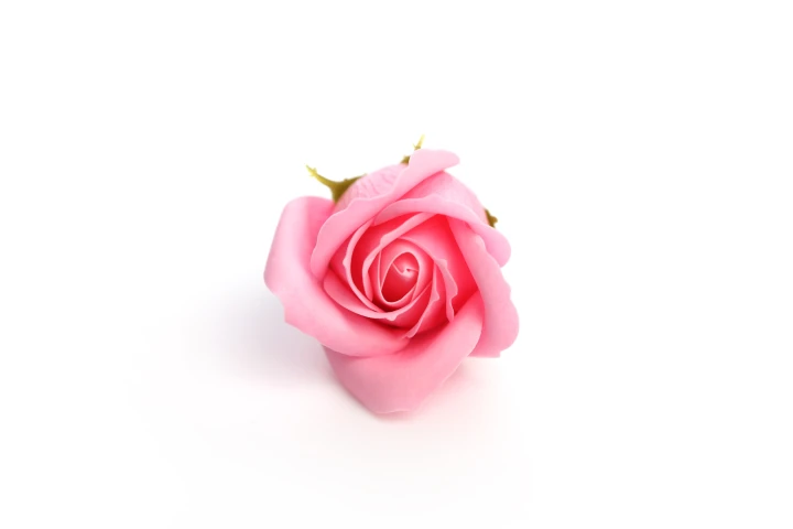 2d36e825d83d2db22c61afae7f78bb02.jpg